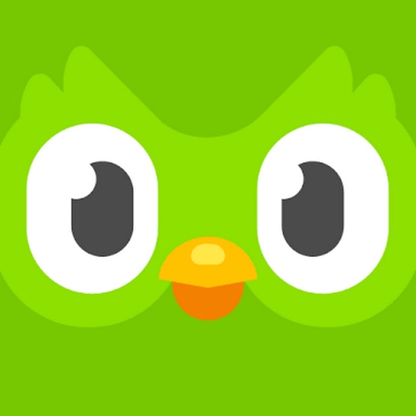 Изображение: Duolingo Premium 2024-2025
